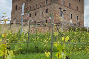 13-20 May 2023 – organising and leading a Langhe Piemonte wine trip with 15 participants including someliers  and other professionals