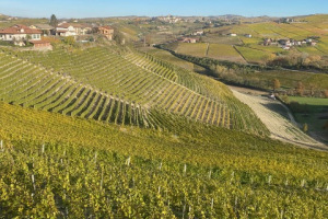 18-25 November, 2023 – Piemonte/Liguria – Hong Kong Winelover’s trip 