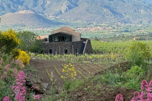 2014.05 Old Vine Conference Etna Field Trip 