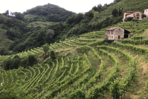 International Press Trip to Prosecco Vino in Villa