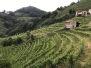 International Press Trip to Prosecco Vino in Villa