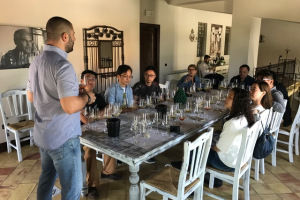 2019.6.24-30 Exceptional Tailored travel to Italy guided by Michele Shah - Hong Kong group visit of Eastern Sicily