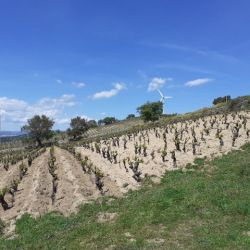 640d81f5-c37c-40be-9cd8-08e4810af085