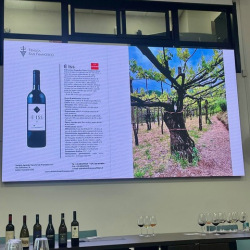 58cb0b6b-6f6b-441e-a4b3-a28c99e9b138