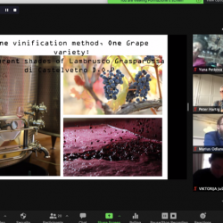 Screen Shot 2020-10-27 at 11.37.53