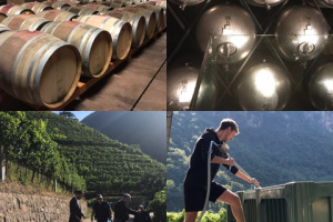 5-8 September 2019 – Alto Adige Wine Summit