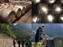 5-8 September 2019 – Alto Adige Wine Summit
