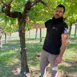 Tocco-winery1