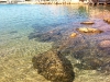 img_1902_1071x800