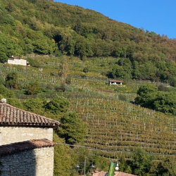UK-Press-Wine-Educators3