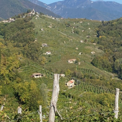 UK-Press-Wine-Educators6