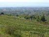p1030026_800x600