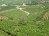 p1010678_800x600