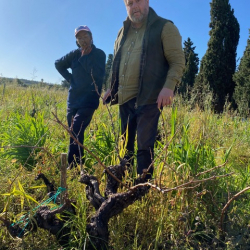 Old-Vine-Project-visit4