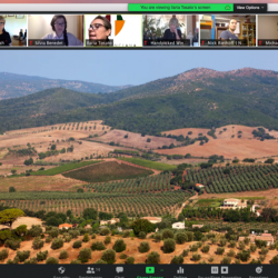 Screen Shot 2020-07-30 at 10.33.43