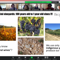 Screen Shot 2020-07-30 at 11.36.19